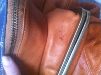 photo(11).JPG