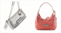 coach-spring-2011-lookbook-2.jpg