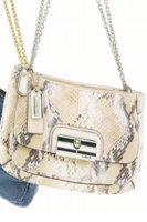 CoachSpring2011MAIN.jpg