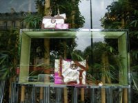 DSCF2475.JPG