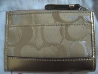 Coach Lurex Skinny Back.jpg