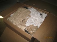 IMG_1125.jpg