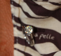 pursebling2.jpg
