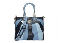 blue stripe purse.jpg
