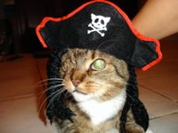 WinkyPirate.jpg