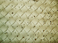BV-BMPerfx.jpg
