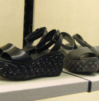 BVSS08.jpg