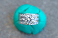 20110218-i00095.jpg