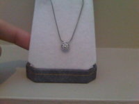 IMG00955-20110221-0734.jpg
