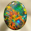 HarlequinOpal.jpg HarlequinOpal.jpg