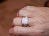 Feb 2011 011.jpg