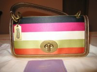 stripe_legacy_flap4.JPG