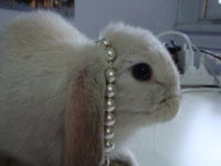 DSC05080.JPG