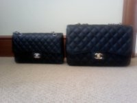 Chanel babies.jpg