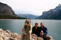 squirrel.png