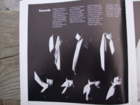 DSC09347.JPG
