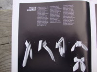 DSC09353.JPG