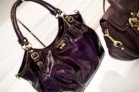 coach-fall-2011-81.jpg