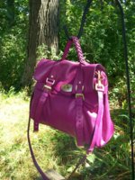 Alexa and Gucci 005.JPG