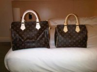 Louis Vuitton Speedy 25 VS Speedy 30