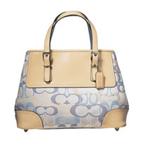 7029_OPTIC SIGNATURE SMALL CARRYALL-11x8-d1.jpg