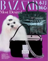 BazaarJapanSept2010.jpg