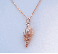 pinkgoldshell.gif