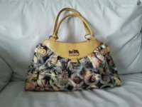 Bag -whole 2.jpg
