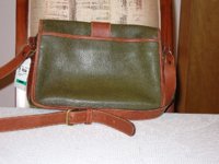 GreenTanSpectator002.jpg