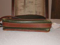 GreenTanSpectator014.jpg