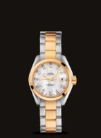 Omega Seamaster Aqua Terra 30mm SSYG White Diamond Markers.JPG