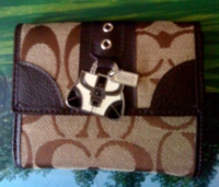 ilovejesussarah fake wallet.png