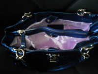 Blue Coach bag 2.jpg