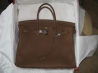 Topaz Birkin 001 (Large).jpg Topaz Birkin 001 (Large).jpg