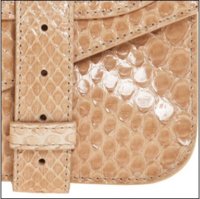 Python-Pochette-3.jpg