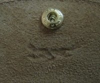 IMG_0319.jpg