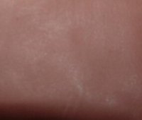 2007_0411Image0003.JPG