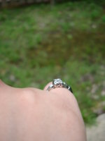 DSC00003.JPG