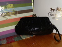 coach evening bag 2.jpg