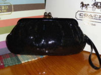 coach evening bag 3.jpg