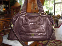 hudson kooba mink metallic.jpg