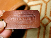 pic5.jpg