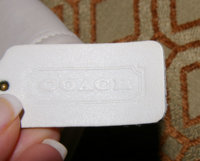 pic8.jpg