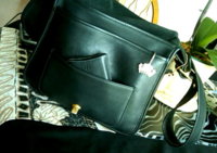 coach9525f.jpg