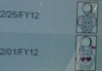 IMAG0223.jpg