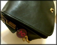 coach9525x.jpg