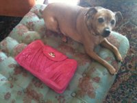 Klaus with Pink Metro Clutch.jpg