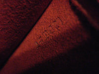 DSC00481.JPG