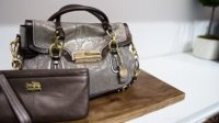 coach-fall-2011-72.jpg