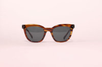 celine-spring-2011-sunglasses-collection-051010-5.jpg